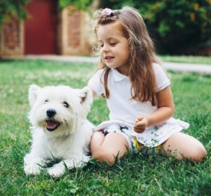 small white dog breeds