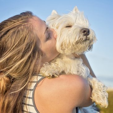 westie personality