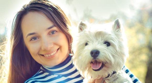westie care
